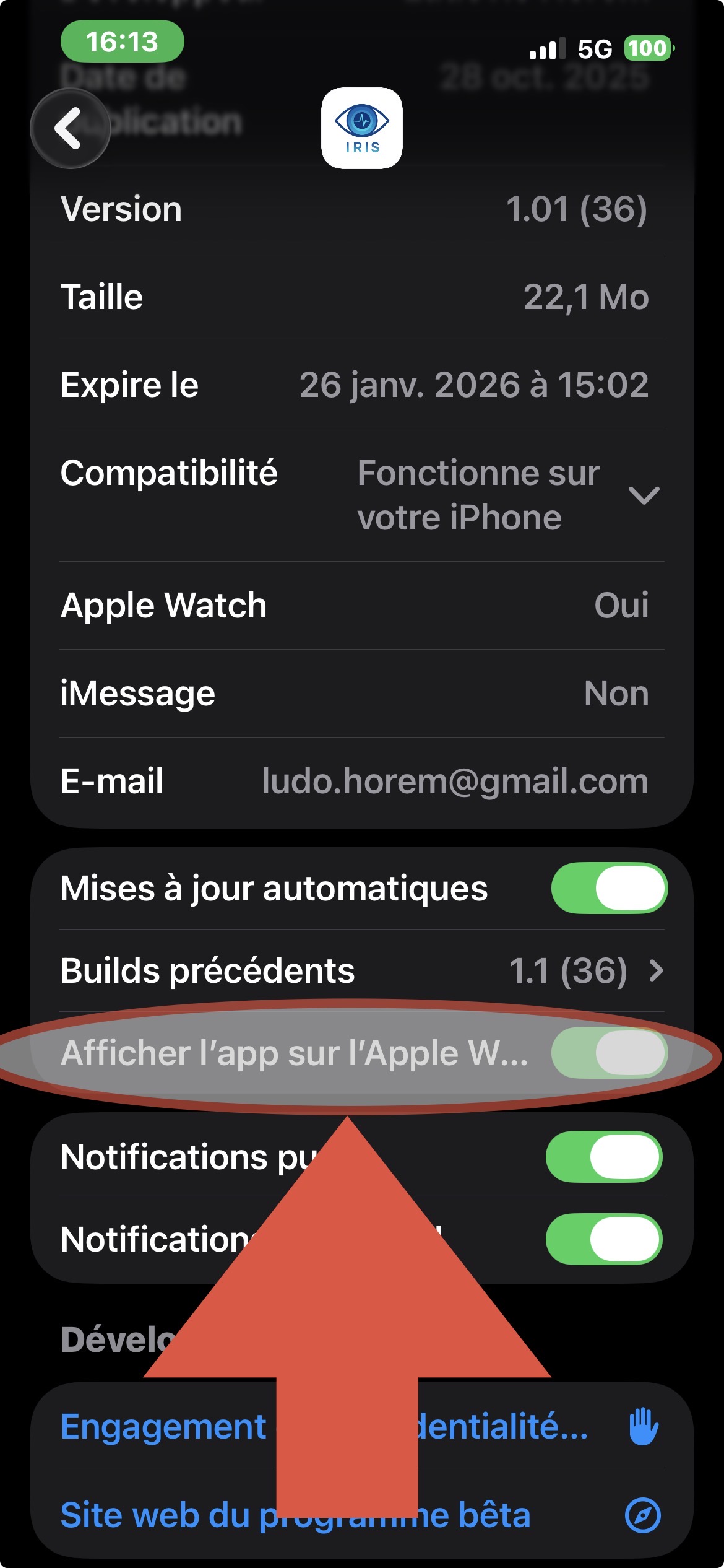 Vérifier l'option Apple Watch dans TestFlight